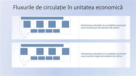 Diagrame explicative privind termenele de decădere și fluxul de completare a cambiei în alb
