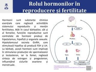 Infografic: Mecanismele Vitex în reglarea prolactinei și a hormonilor LH/FSH