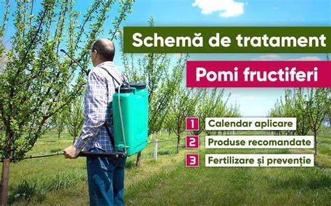Schema de tratament al racelii in sarcina: preventie, tratament si restrictii