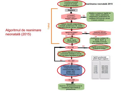 Schema unității de reanimare neonatală