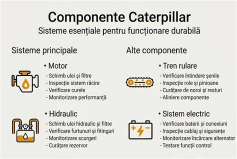 Infografic: Componentele scorului Centor pentru pediatrie și algoritmul decizional