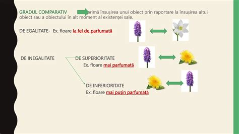 Infografic despre gradele de maturitate placentara Grannum