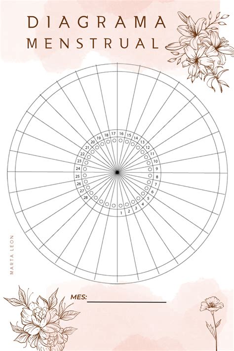 Diagrama fluxului menstrual