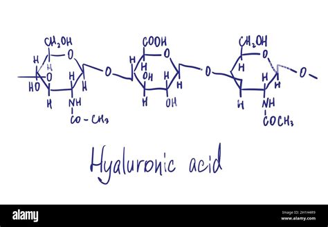 Structura moleculei de acid hialuronic