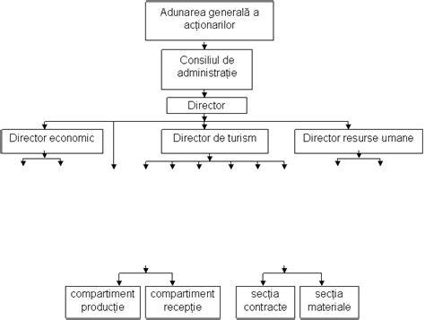 Schema fluxurilor pentru maternitate si compartimentele nou-născuţilor