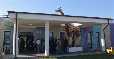 Diagrama grupelor de vârstă la grădiniță