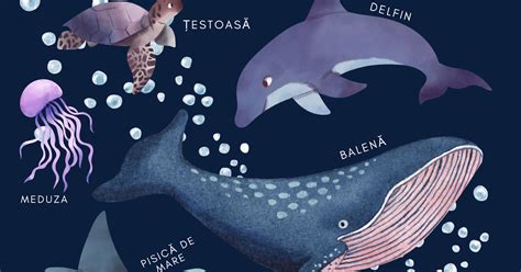 Ilustrație cu animale acvatice și obiecte din jocuri