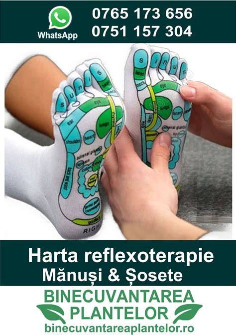 Infografic: Fluxul reflexogen al talpilor, palmelor și urechilor
