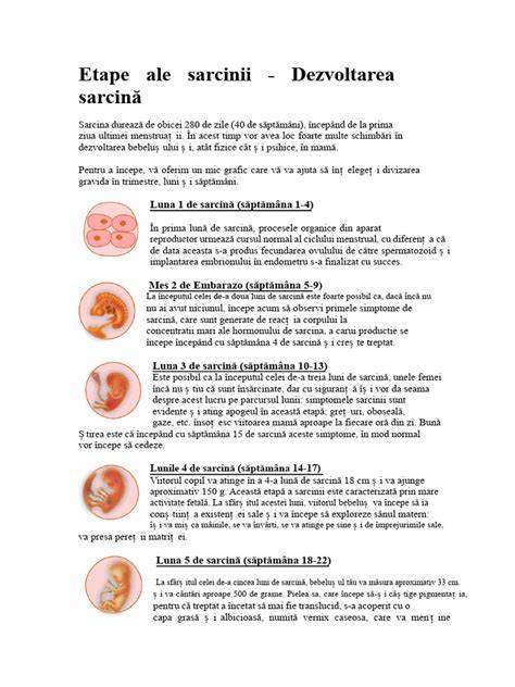 Infografic: Etapele monitorizării sarcinii și investigațiile esențiale