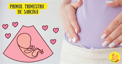 Calendar sarcina, focus pe primul trimestru