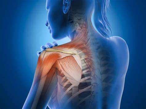 grafic-durere-sarcina-medicamente