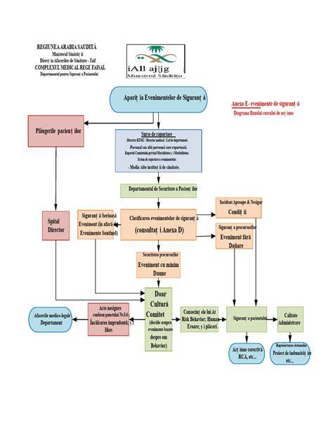 Diagrama flux terapie antivirală HBV în sarcină