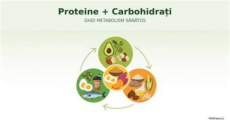 Diagramă: echilibrul nutrițional în sarcină (carbohidrați, proteine, grăsimi, micronutrienți)