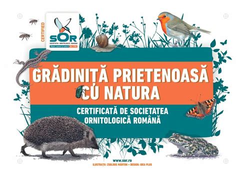 Infografic: Ghidul destinatiilor prietenoase cu bebelușii în Grecia