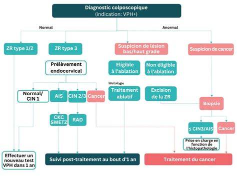 Diagrama flux diagnostic: de la screening HPV la colposcopie