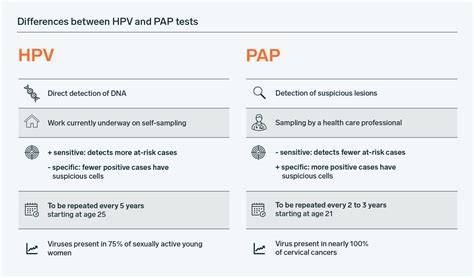Schema testelor de screening în ginecologie: PAP, HPV, ecografii