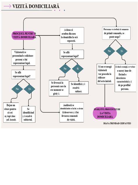 Diagrama flux acces vizite maternitate