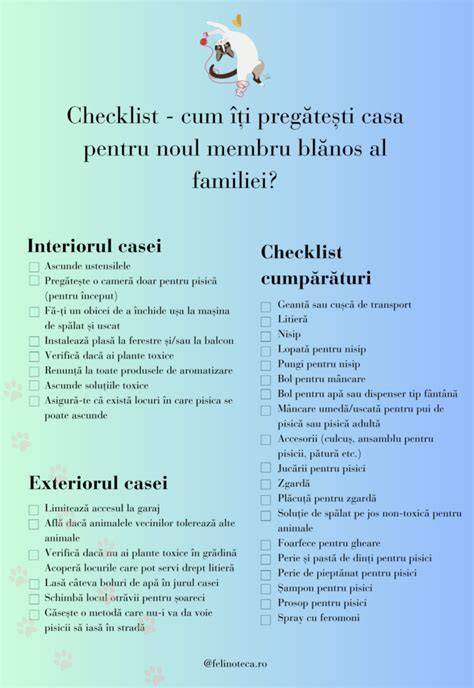 Infografic: cum să pregătești casa pentru sosirea bebelușului și impactul asupra pisicii
