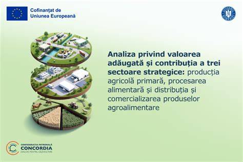 Infografic: lanțul de valoare al produselor TENA și dependența de standardele Essity
