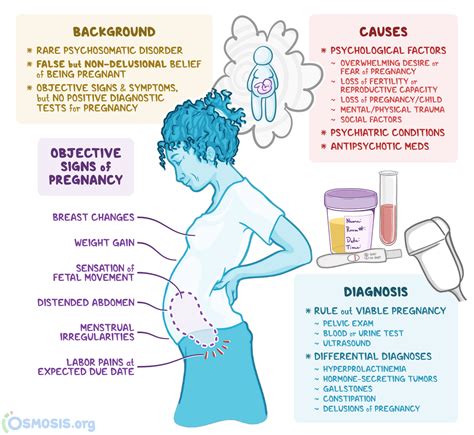 Infographic: Procesul diagnostic al pseudocyesis (hCG negativ, ecografie negativă, simptomatologie similară sarcinii)
