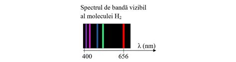 Diagramă care ilustrează spectrul de acțiune al dezinfectantului (bacterii, fungi, viruși)