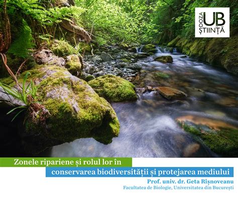 Grafic: conservarea sarcinii si tranziențe în rețele