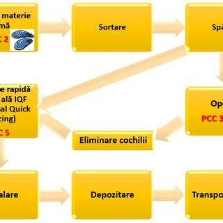 Diagrama fluxului decizional pentru alegerea metodei de avort în funcție de vârstă sarcină