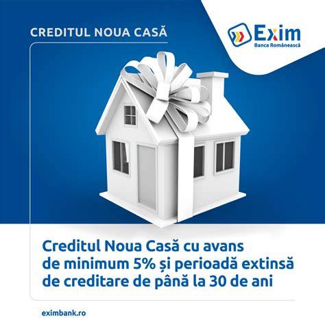 Diagramă flux analiză dosar Noua Casă