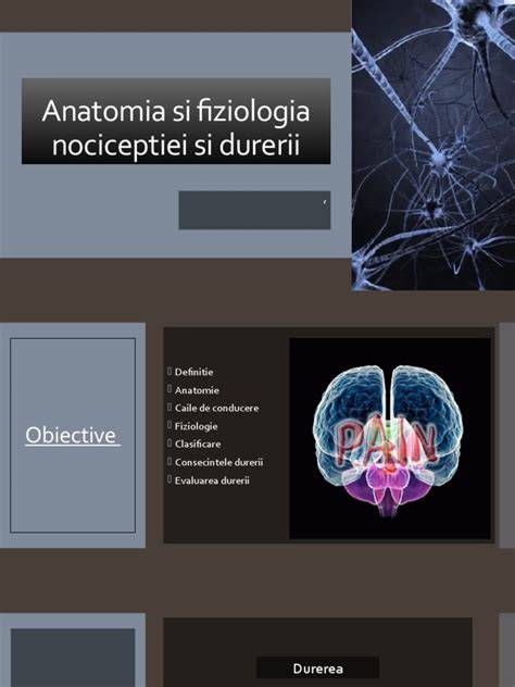 Imagine infografic: Fiziologia durerii pelvine în sarcină: ligamente, nervi și mijloace de ameliorare
