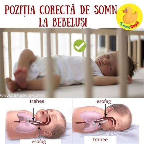 Infografic despre pozitia corecta de alaptare si biberon