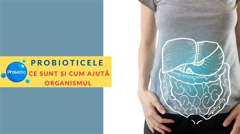 Infografic: Cum functionează probioticele în flora intestinală a copiilor