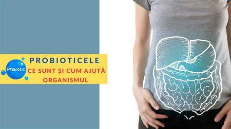 Infografic: cum acționează probioticele și zincul în organismul copiilor