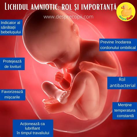 Schema fazelor emboliei cu lichid amniotic
