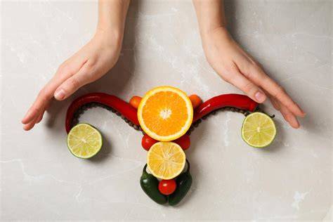 Diagramă: diferențele de rol între estrogen și progesteron în reproducere și menopauză