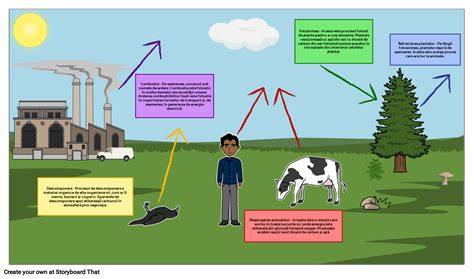 Diagrama ciclului nutrientilor în sol cu rolul prășitului