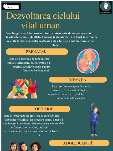 Infografic: Etapele examenului ginecologic