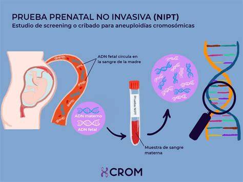 Infografic: fluxul screening-ului prenatal neinvaziv (NIPT) de la recoltarea sangelui la interpretarea rezultatelor