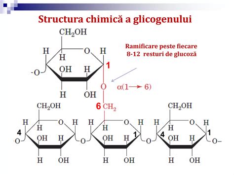 Structura moleculei de hCG