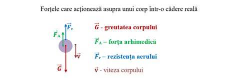 Schema categorii de greutate a prosoapelor