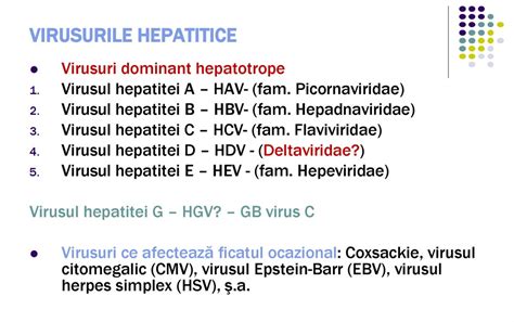 Virusul hepatitei E