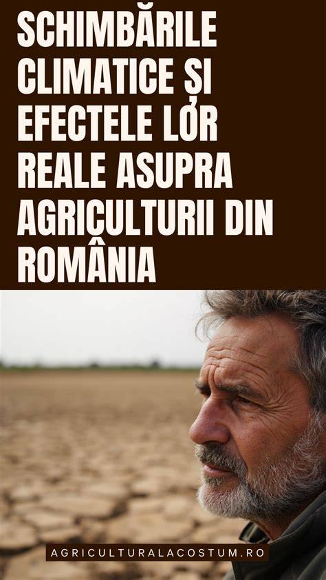 Infografie: Principalele ingrediente ale cremelor postnatale si efectele lor asupra pielii