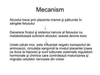 Diagramă a căilor prin care alcoolul trece de la mamă la făt