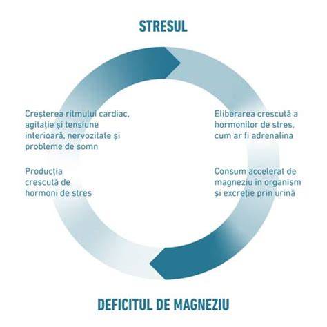 Diagramă: conexiuni dintre stres, ficat și detoxifiere
