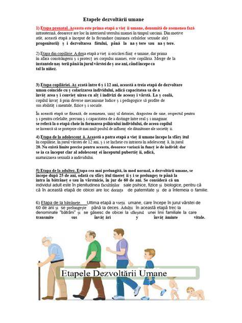 Infografic: etapele dezvoltării fatului de la concepție până la naștere