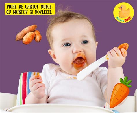 Video demonstrativ: cum să pregătești piure de morcov pentru bebeluși</tagvideo><h2>Suplimentare: copii și diversificare pentru întreaga familie</h2><p>Broccoli-ul este o alegere excelentă pentru începutul diversificării. După gătire la abur sau fiert, capătă o textură moale, potrivită pentru bebeluși. Poate fi oferit simplu, sub formă de piure, sau în buchețele moi pentru dezvoltarea motorie a bebeluței. În plus, broccoli-ul poate fi combinat cu cartof, dovlecel sau morcov pentru un gust mai consistent.</p><tagimg>Diagramă: cum să gătești broccoli pentru piure de bebeluși