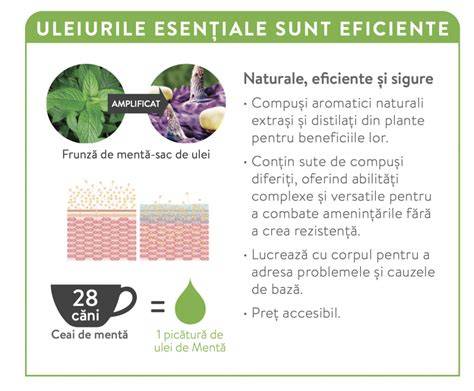 Infografic: principalele moduri de utilizare ale uleiurilor esențiale la copii
