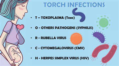 Screening TORCH si GBS in sarcina