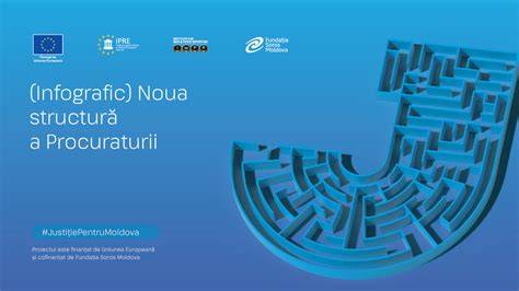 Infografic: Structura învăţământului la Pediatrie I