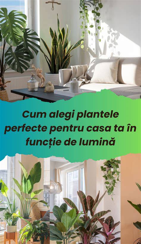 Rentgeno de idei: cum alegi o pernă în funcție de vârstă