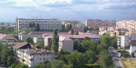 Infografic: cartierul Rogerius, Oradea - trasee recomandate pentru familie si copii